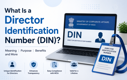 What Is a Director Identification Number (DIN)?